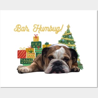 Bah, Humbug! Christmas English Bulldog Posters and Art